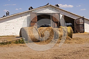 Haystack, a bale of hay group. Agriculture farm and farming symbol of harvest time with dry hay, hay pile of dried grass