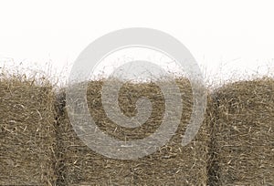 Haystack closeup isolated on white background with copy space. Top view. 3D render of straw.