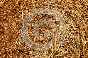 Haystack in the countryside of Belarus