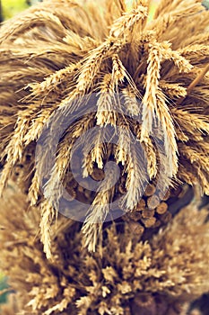 Haystack, crop, rural life, Haystack, crop, rural life