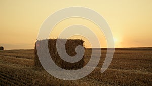 Haystack dry field after harvesting at golden sunset land. Rural landscape view.