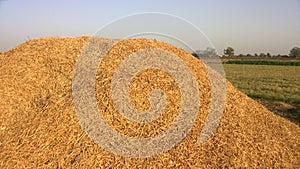 Haystack in The Farm with Skyblue Background photo