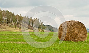 Haystack on the field