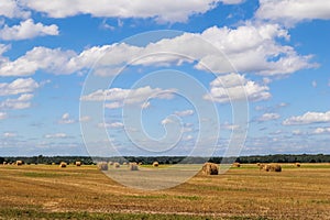 Haystack in the field after harvest. Round bales of hay across a farmer's field, blue sky with clouds
