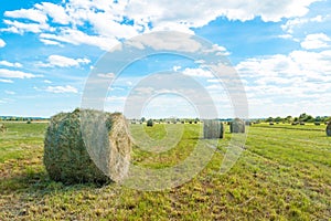 Haystack on the field. Hayfield