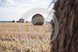 Haystack in the field. haymaking. agricultural work. field work in the village.