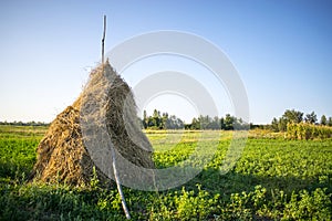 Haystack in a field
