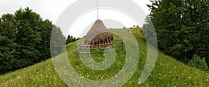 Haystack in field, Moieciu, Romania