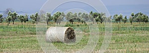 Haystack on the field