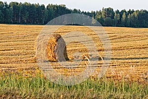 Haystack on a field in Russian countryside