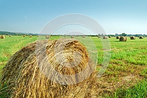 Haystack on the field on a summer day