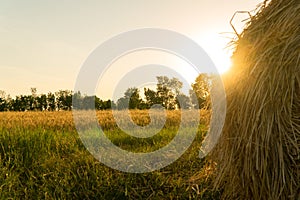 a haystack on a field in the sun