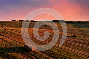 Haystack on field on sunset sky. Hay bale from residues grass. Hay stack for agriculture. Hay in rolls after combine harvester