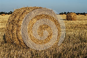 Haystack in a field of wheat