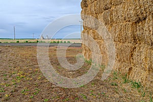 A haystack and grain elevator in southeastern Washington, USA