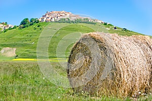 Haystack hay bale Castelluccio di Norcia Monti Sibillini Perugia