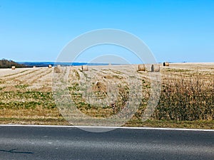 Haystack or hay straw. Mowed dry grass hay in stack on farm field