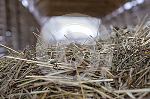 Haystack in macro. Old Barn