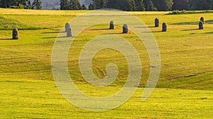 Haystack on a mowed meadow. Haymaking in Podhale