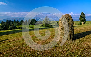 Haystack on a mowed meadow. Haymaking in Podhale