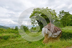 Haystack near the Godinje villiage at Montenegro