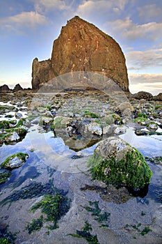 Haystack Rock at Low Tide photo