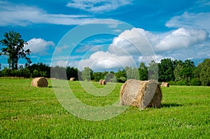 Haystack roll agriculture field landscape. Agriculture mown meadow with blue sky and clouds