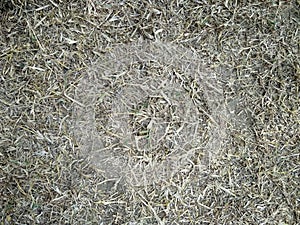 Haystack, sheaf of dry grass, hay, straw, texture, abstract background