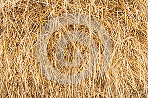 Haystack, sheaf of dry grass, hay, straw, texture, abstract background