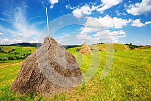 haystack or sheaf on the grassy field