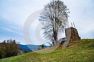 A haystack stands near a tree without leaves on the background of a valley with forests and meadows and a village