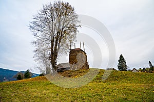 A haystack stands near a tree without leaves on the background of a valley with forests and meadows and a village