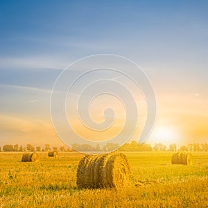 haystack among summer wheat field at the sunset