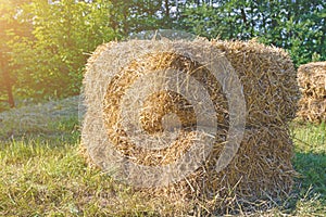 Haystack to feed cattle rectangular
