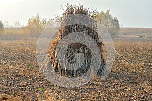 Haystacks