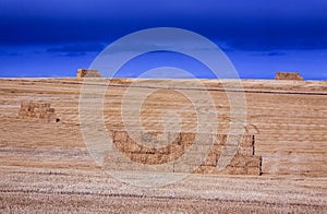 Haystacks in agriculture field