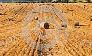 Haystacks in autumn field. Wheat yellow golden harvest in summer. Countryside natural landscape. Hay bale