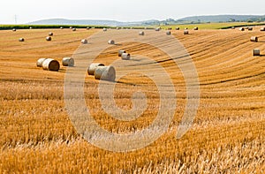 Haystacks in autumn field. Wheat yellow golden harvest in summer. Countryside natural landscape. Hay bale