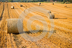 Haystacks in autumn field. Wheat yellow golden harvest in summer. Countryside natural landscape. Hay bale