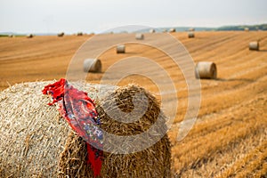 Haystacks in autumn field. Wheat yellow golden harvest in summer. Countryside natural landscape. Hay bale with shawl