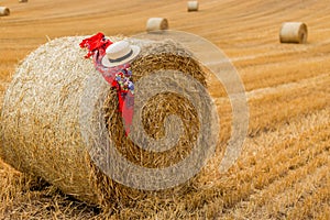 Haystacks in autumn field. Wheat yellow golden harvest in summer. Countryside natural landscape. Hay bale with shawl