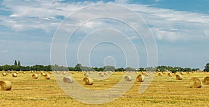 Haystacks of dry hay on the field in sunny day