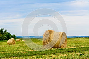 Haystacks on the field