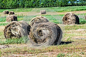 Haystacks on field in countryside