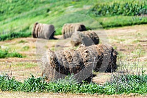 Haystacks on field in countryside