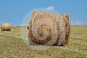 Haystacks on the field after harvest