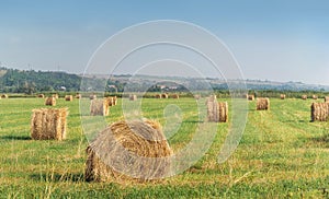 Haystacks on the field on a summer day