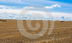 haystacks on a field on a summer day