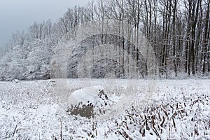 Haystacks in field during winter