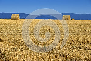 Haystacks in the fields